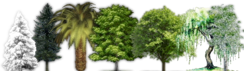 image28e6fc7566977a60.png