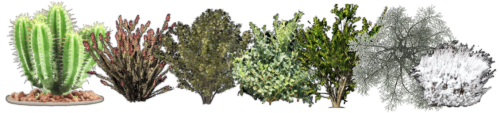 imagebbcf23513a27cb55.png