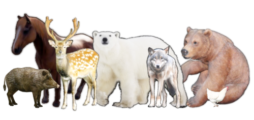 imagee0444f0496bcb4ef.png