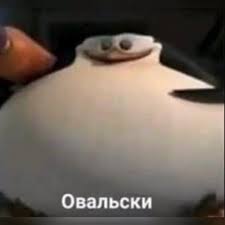 1000045023.jpg