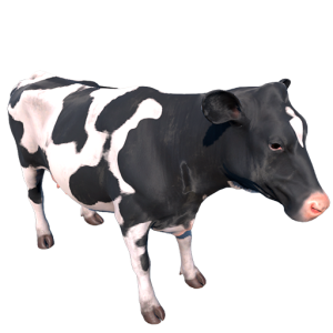 cow.png